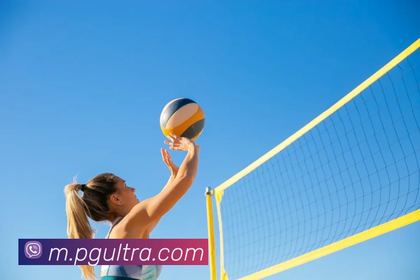 App Interface Preview